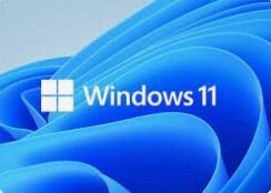 Windows 11 | Dinsdagvoormiddag 9u00 - 12u10 (7/02/23 tem 20/06/23)